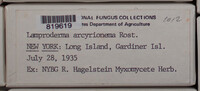 Image Associated With the Occurence
